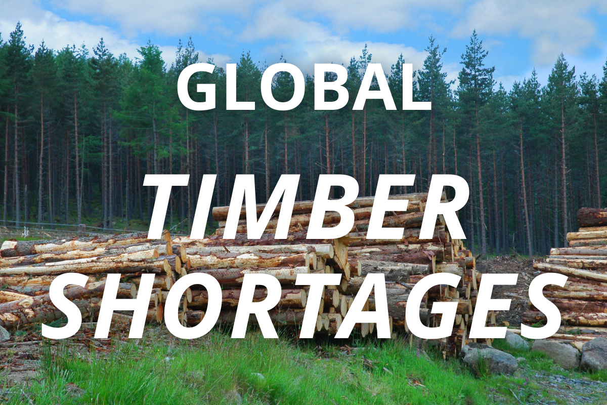 Global Shortage of Wood