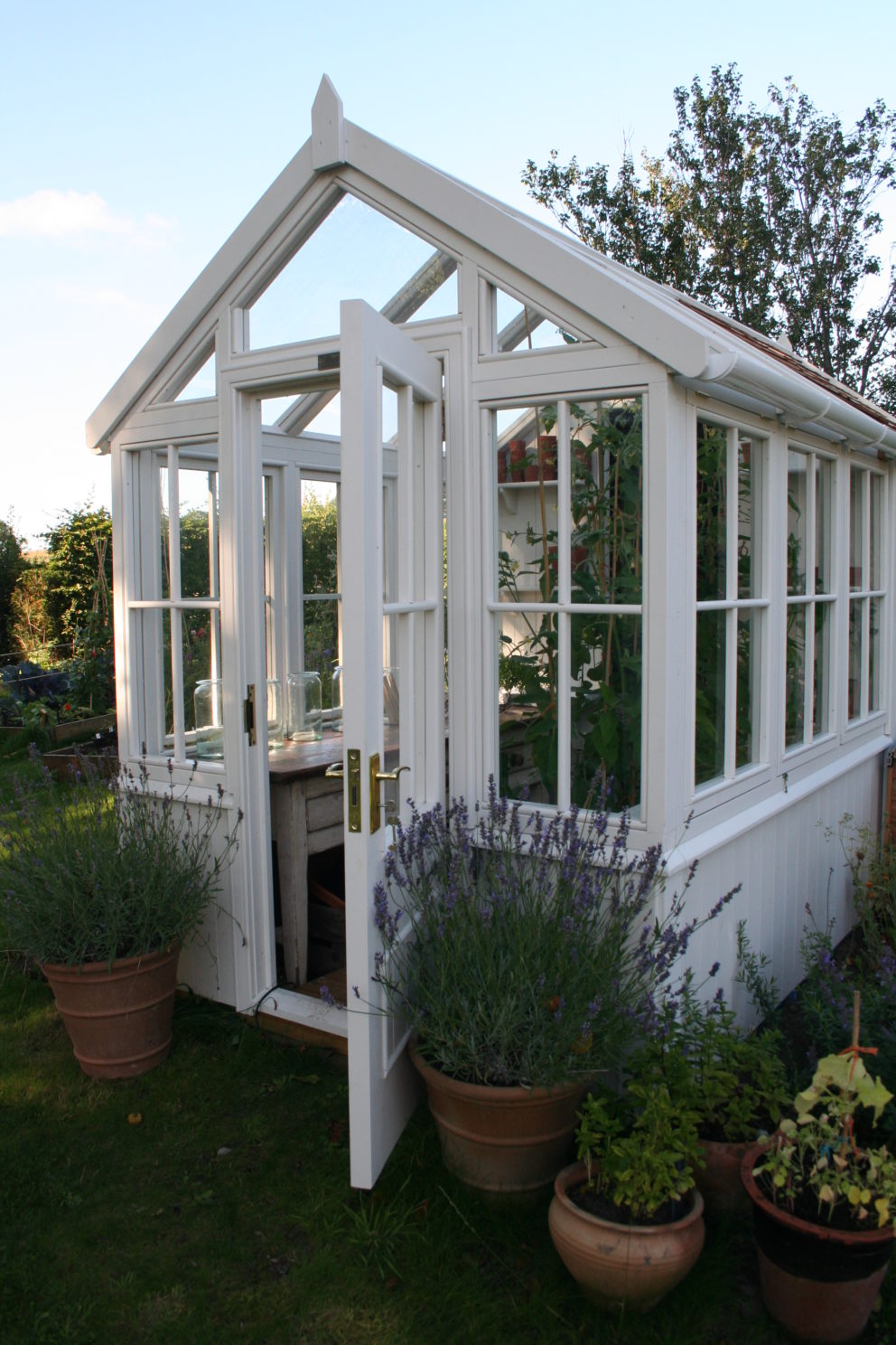Posh shed with wooden greenhouse